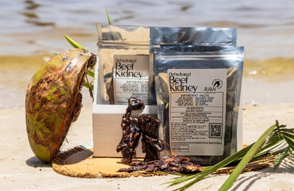 Dehydrated Beef Kidney | Raw Instincts | Small Batch Superfood Treat for Cats & Dogs - Tampa Home & Garden Store