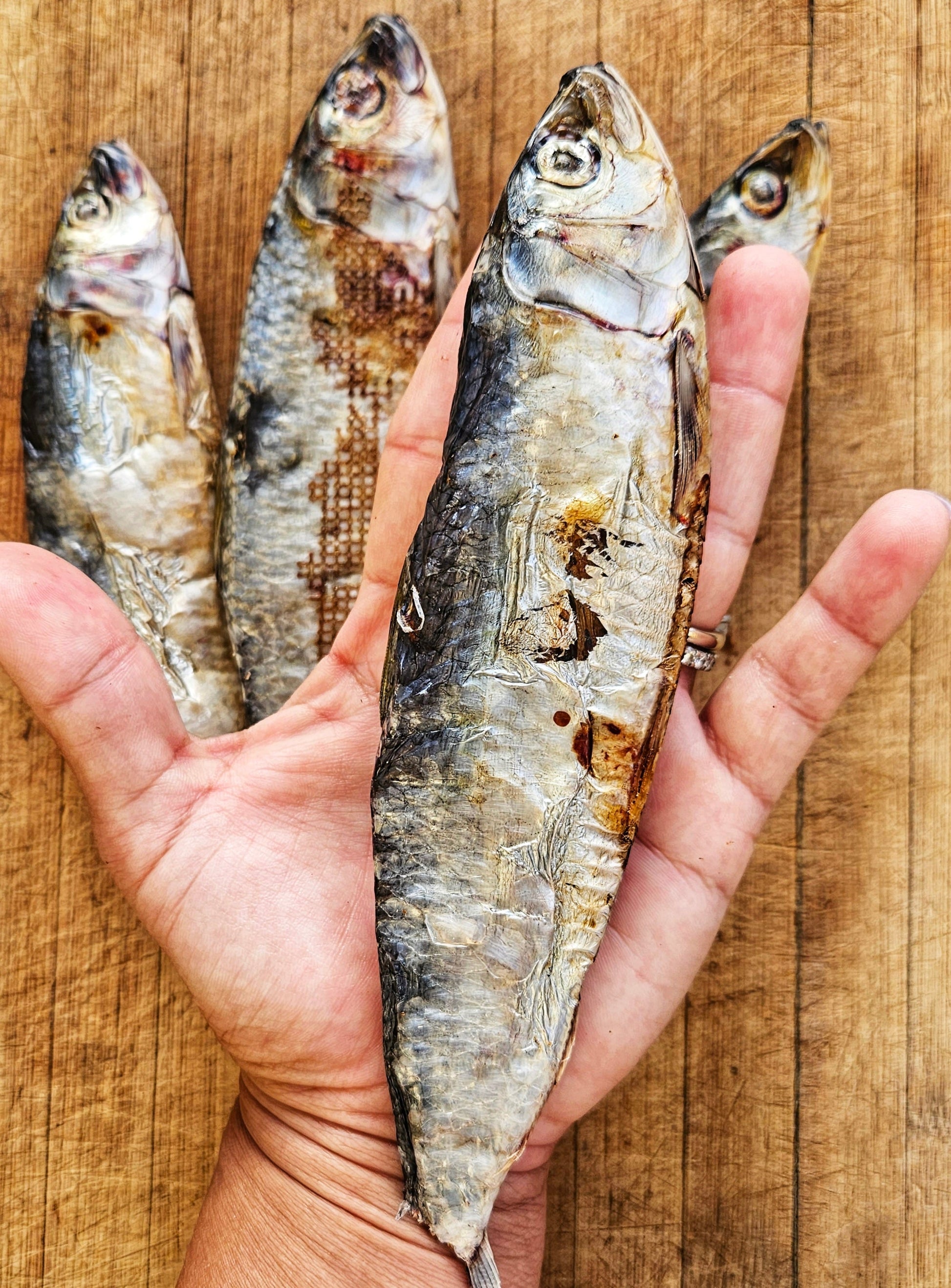 Dehydrated Wild-Caught Sardines for Cats & Dogs — 100% Single Ingredient | Raw Instincts Florida | Qty: 5 Fish - Tampa Home & Garden Store