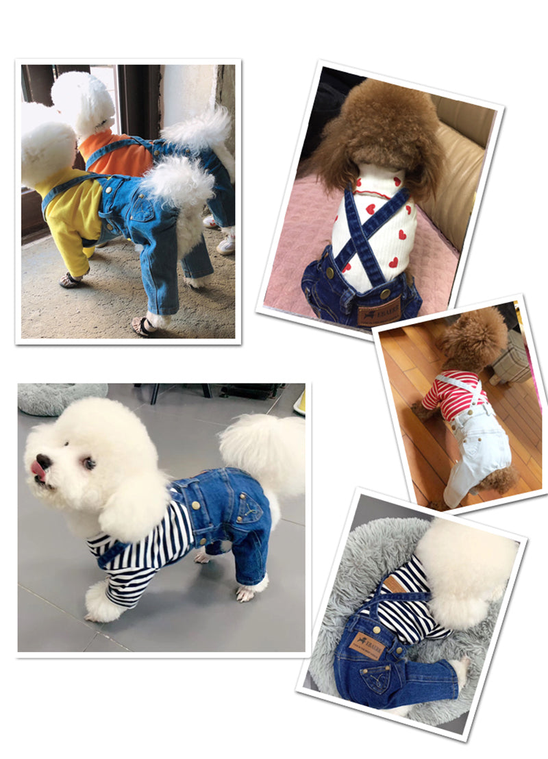 Denim Jumpsuit for Small Pets - Tampa Home & Garden Store