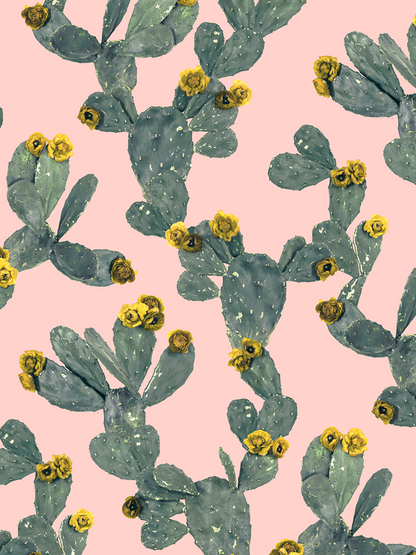 Desert Blooms Wallpaper, pink and yellow - Tampa Home & Garden Store