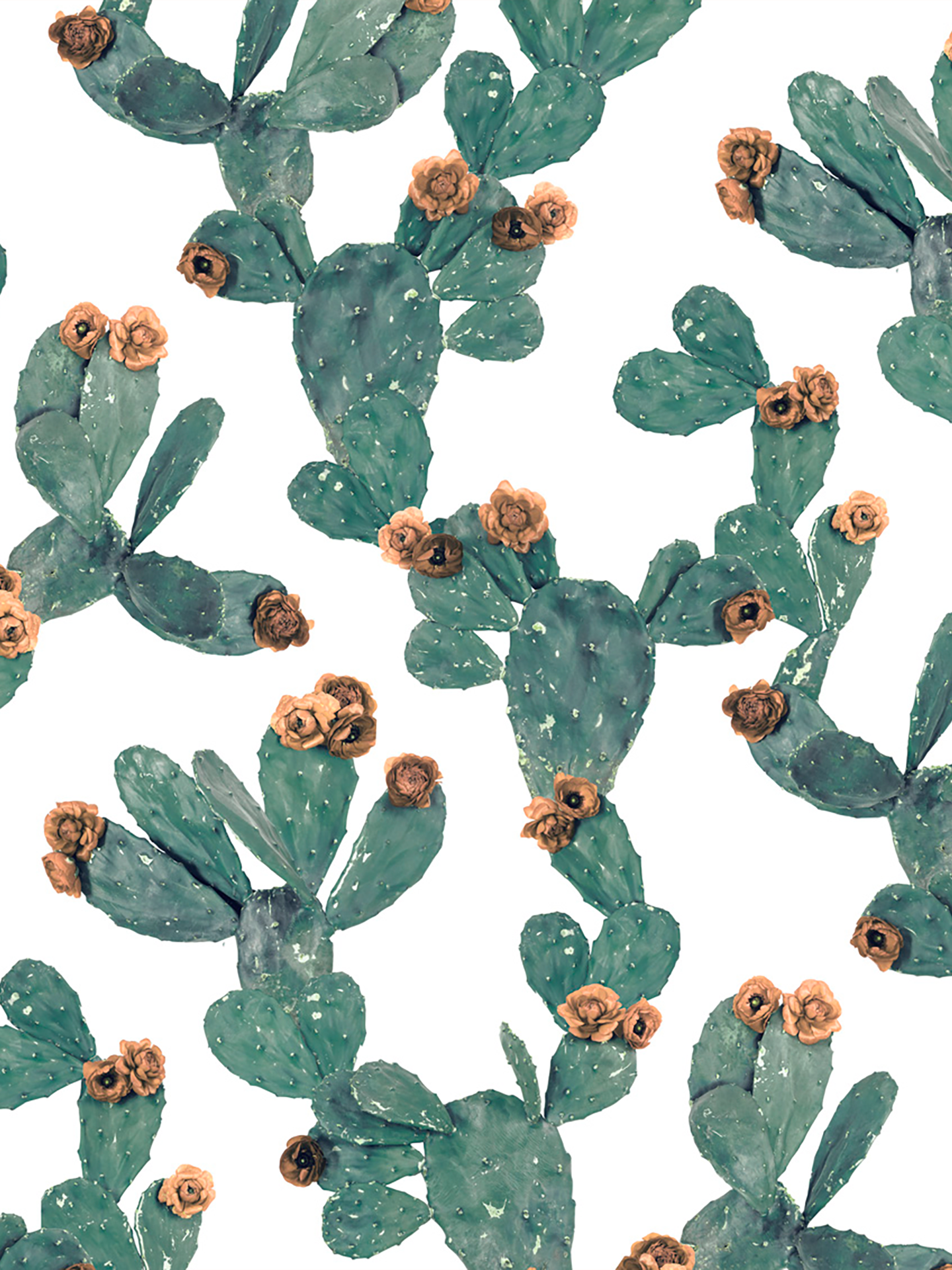 Desert Blooms Wallpaper, white and terra cotta - Tampa Home & Garden Store