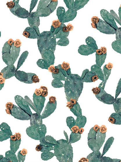 Desert Blooms Wallpaper, white and terra cotta - Tampa Home & Garden Store