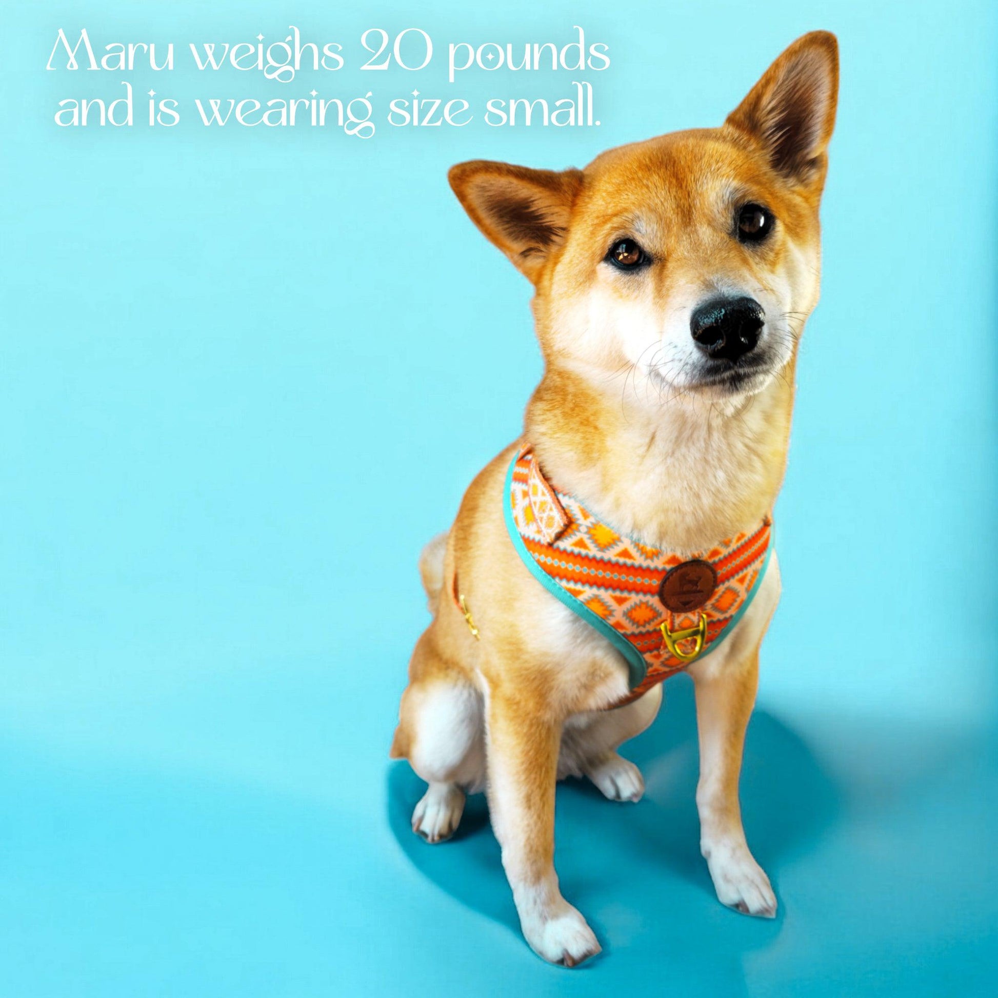 Desert Dream Harness - Tampa Home & Garden Store