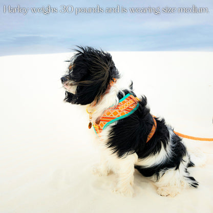 Desert Dream Harness - Tampa Home & Garden Store