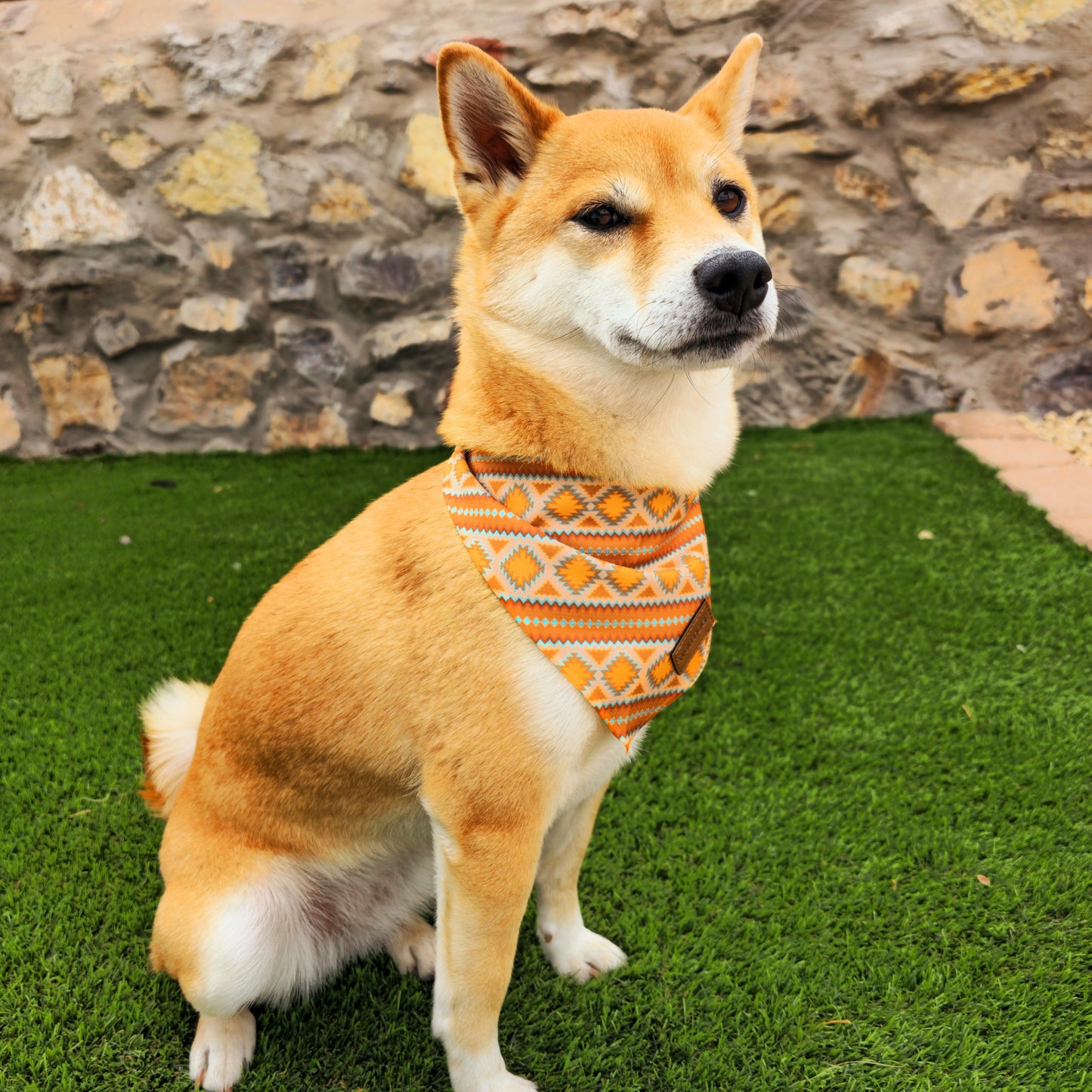 Desert Dream Cooling Bandana for dogs in orange turquoise pattern worn by a tan dog on Tampa Home & Garden Store