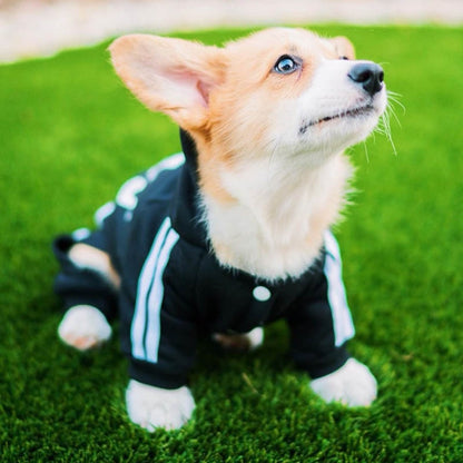 Designer Pet Dog Jumpsuit for Small Medium Dogs - Tampa Home & Garden Store