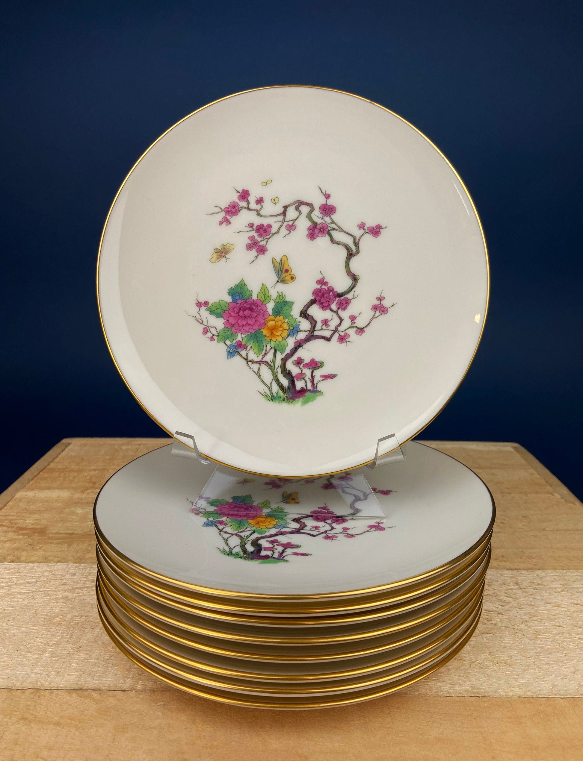 Dessert Salad Plates by Noritake, Elvira Pattern. 5 Porcelain Square Plates with Gold Garland Motifs. Hosting Essentials. Dining Room Decor. - Tampa Home & Garden Store