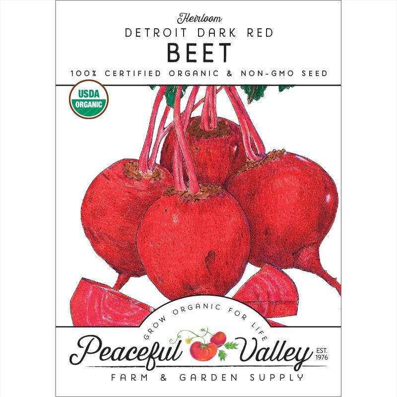Detroit Dark Red Beet Seeds (Organic) - Tampa Home & Garden Store
