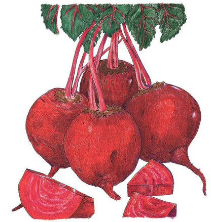 Detroit Dark Red Beet Seeds (Organic) - Tampa Home & Garden Store