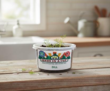 Dill Grow Kit - Tampa Home & Garden Store