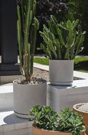 Dionne Pot with Saucer - Tampa Home & Garden Store