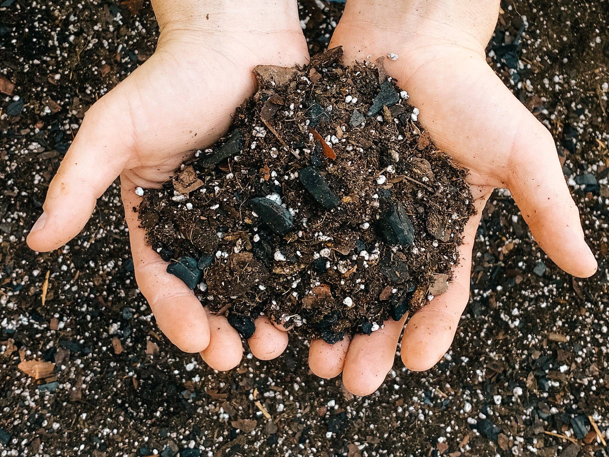 Dirt Bag: 1 Gallon - Tampa Home & Garden Store