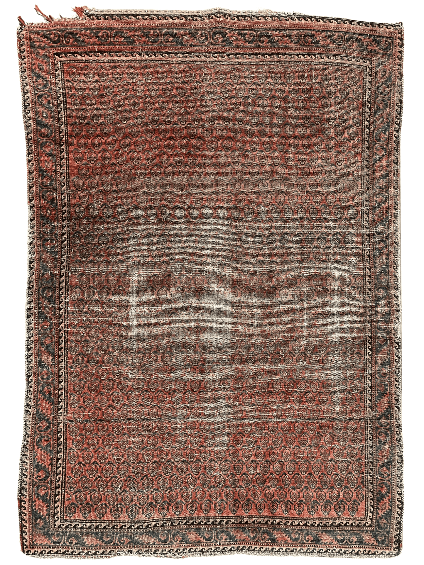 Distressed Persian Paisley Rug 3’8” x 5’2” - Tampa Home & Garden Store