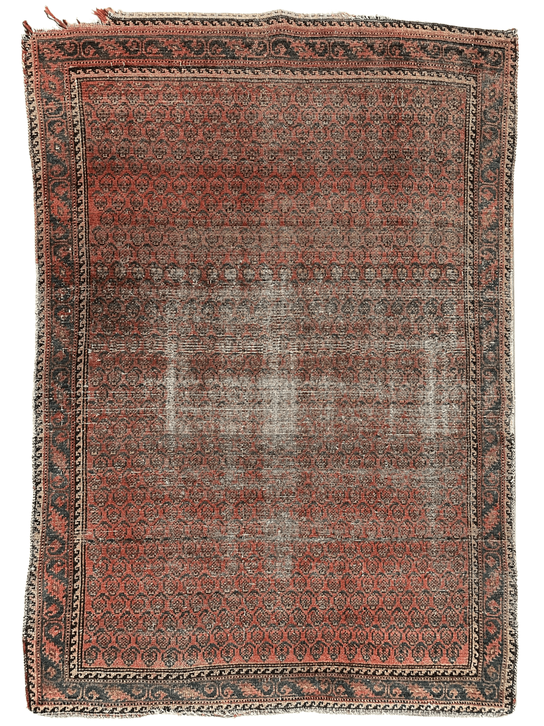 Distressed Persian Paisley Rug 3’8” x 5’2” - Tampa Home & Garden Store