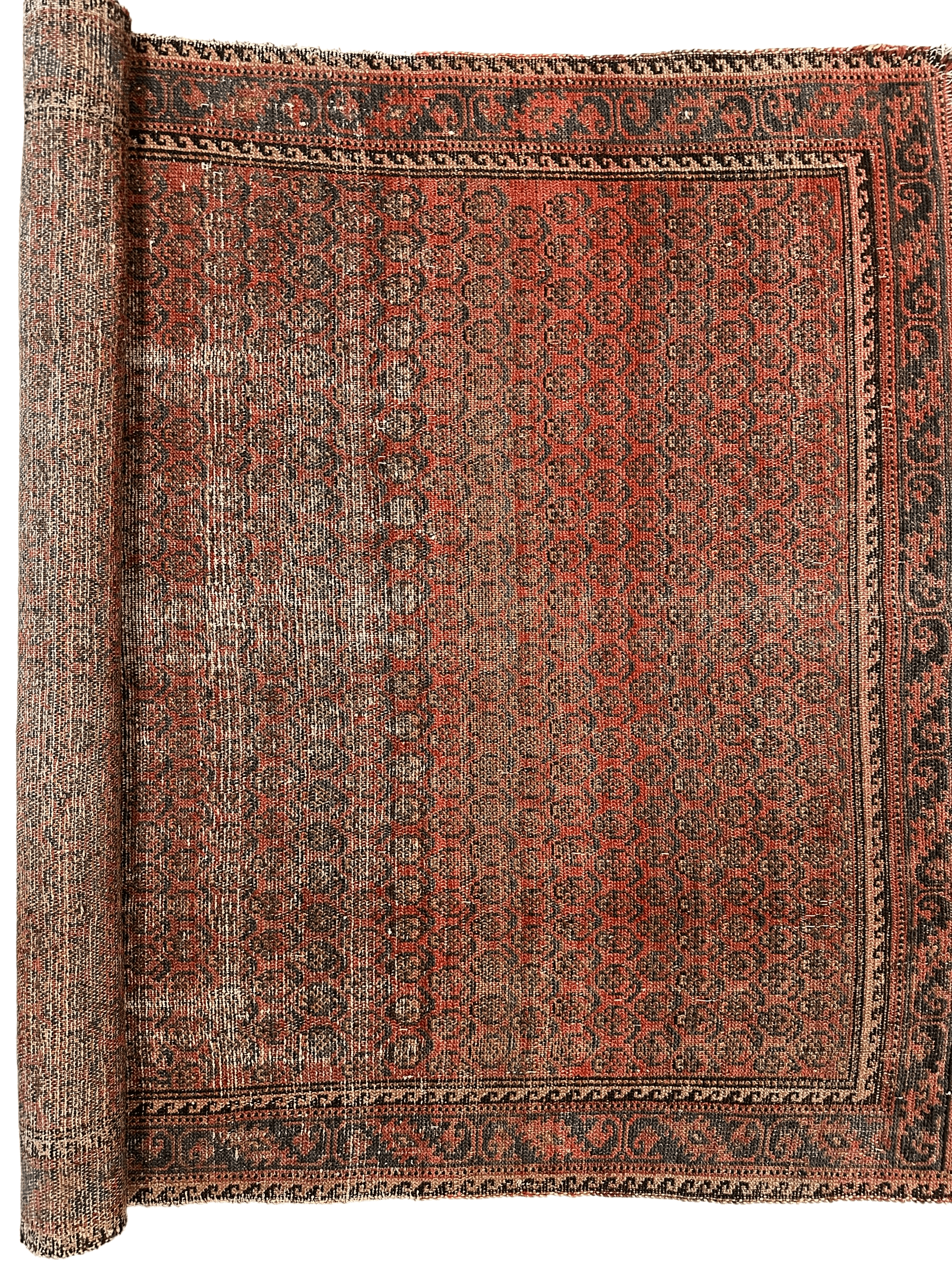 Distressed Persian Paisley Rug 3’8” x 5’2” - Tampa Home & Garden Store