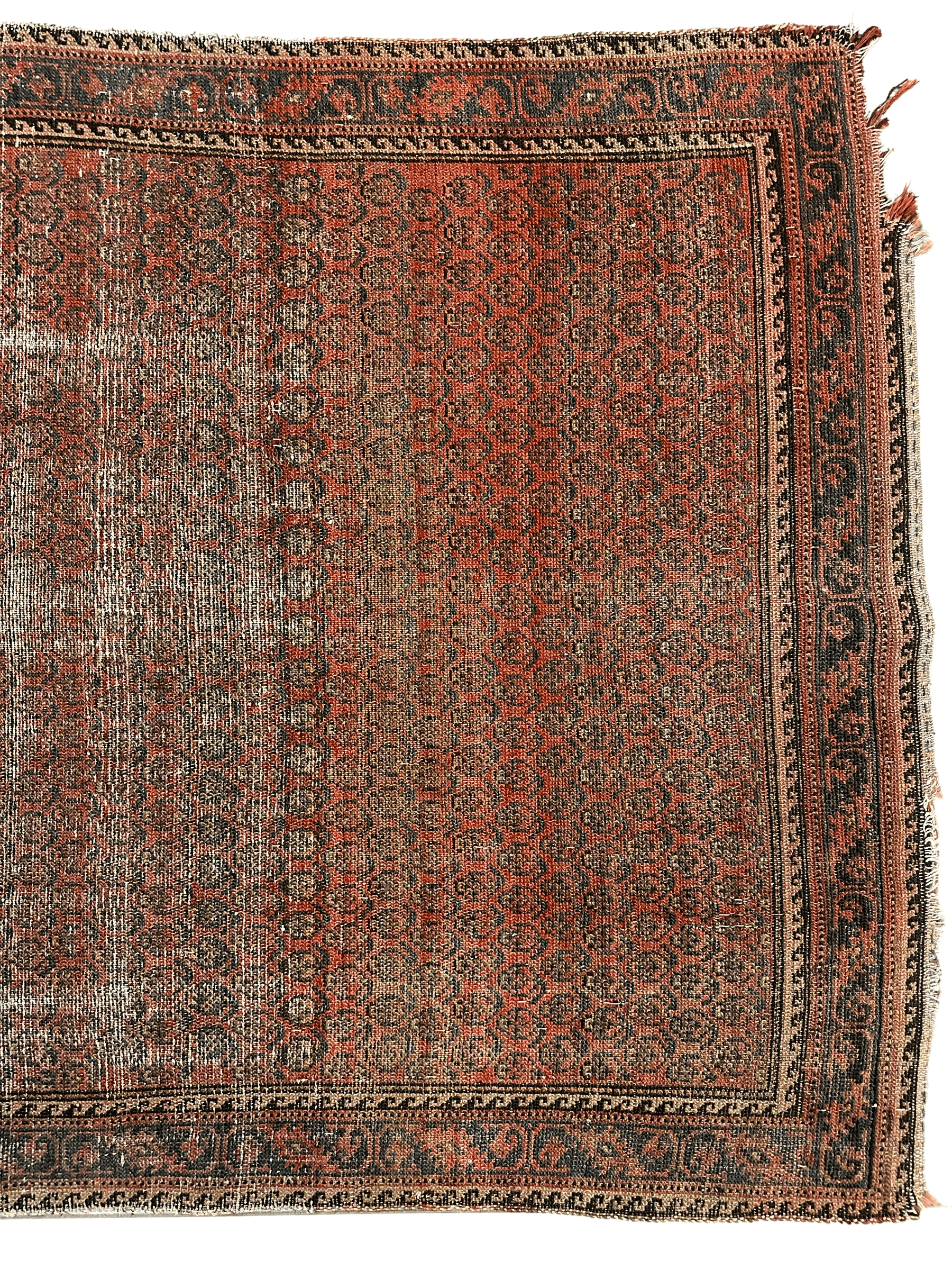 Distressed Persian Paisley Rug 3’8” x 5’2” - Tampa Home & Garden Store