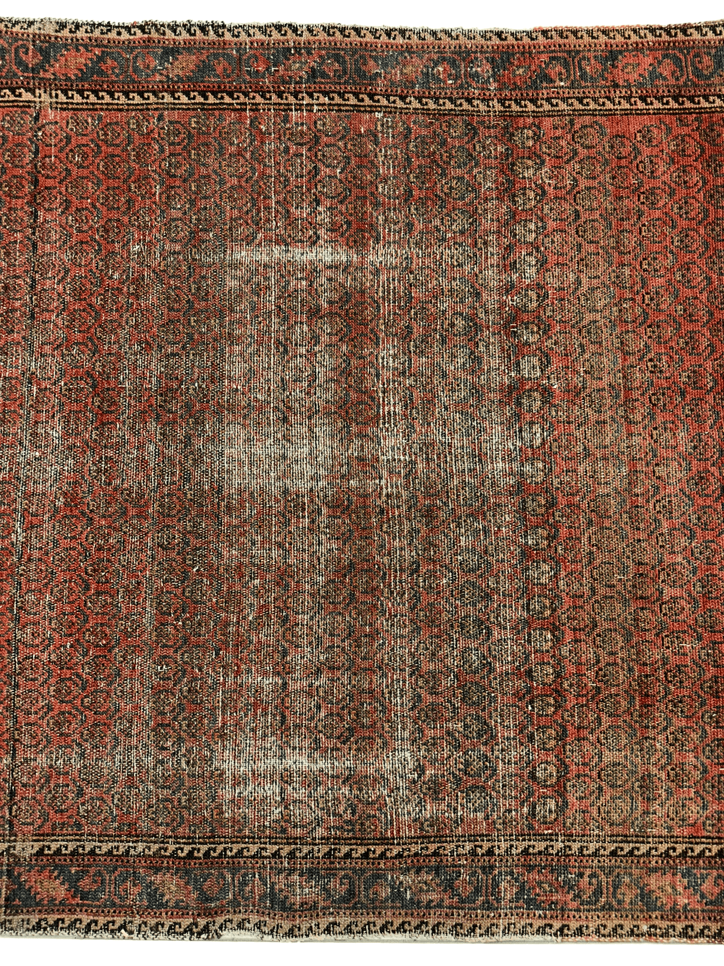 Distressed Persian Paisley Rug 3’8” x 5’2” - Tampa Home & Garden Store