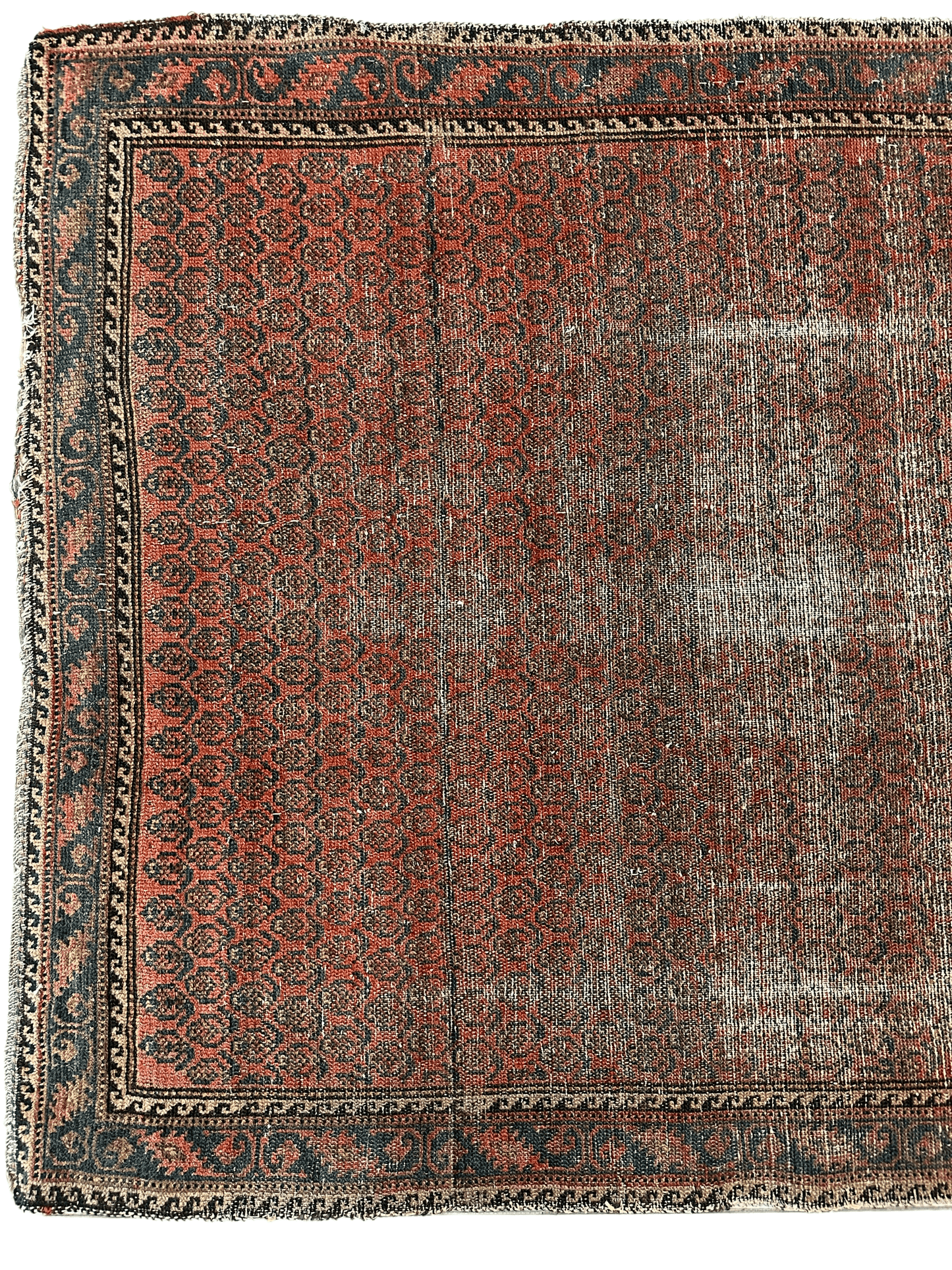 Distressed Persian Paisley Rug 3’8” x 5’2” - Tampa Home & Garden Store