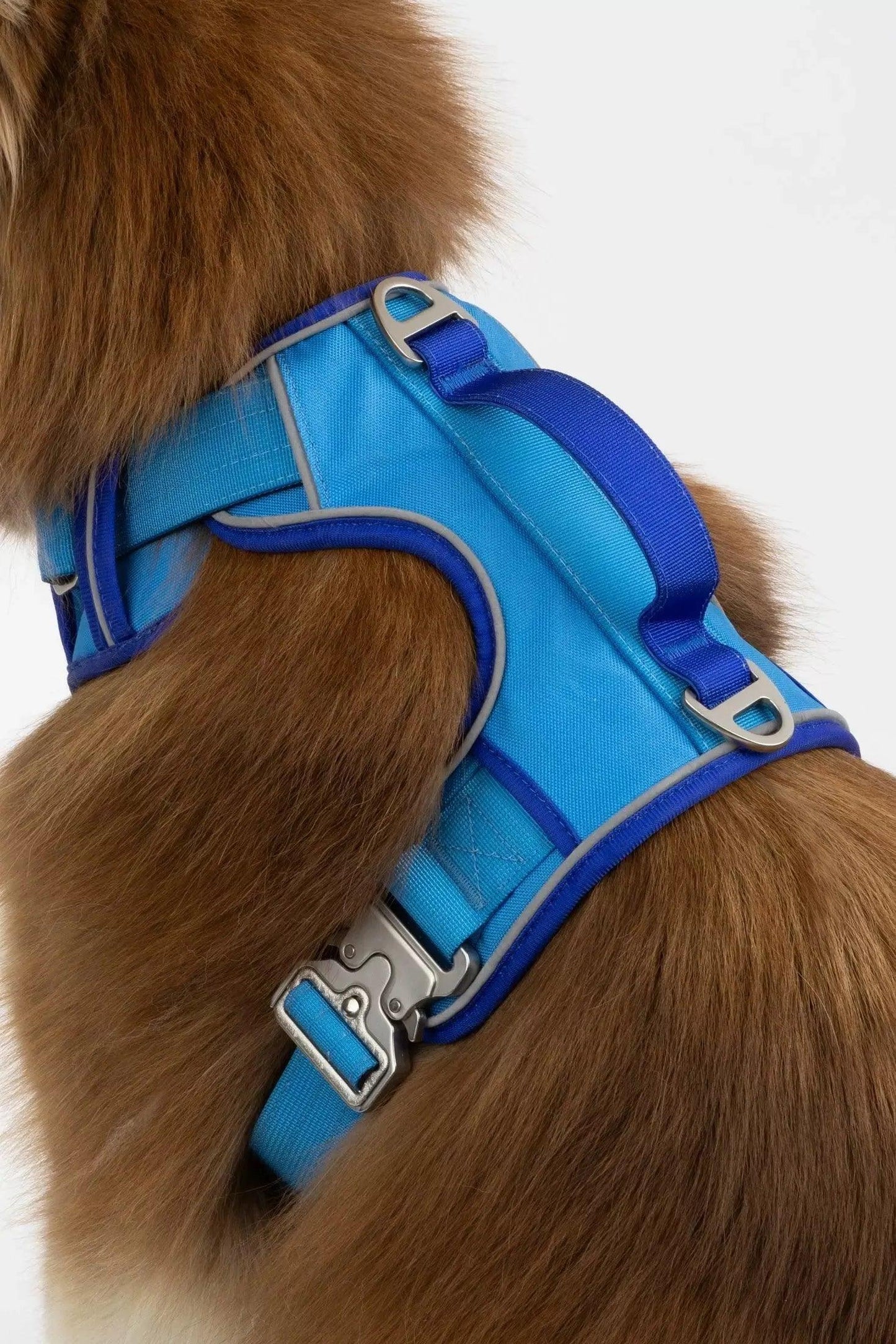Dockside Adventures Ultimate Harness - Tampa Home & Garden Store