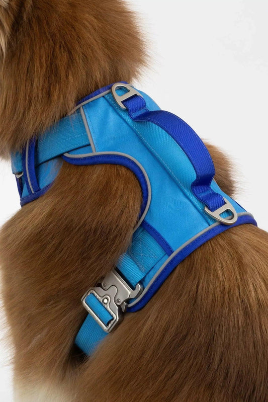 Dockside Adventures Ultimate Harness - Tampa Home & Garden Store