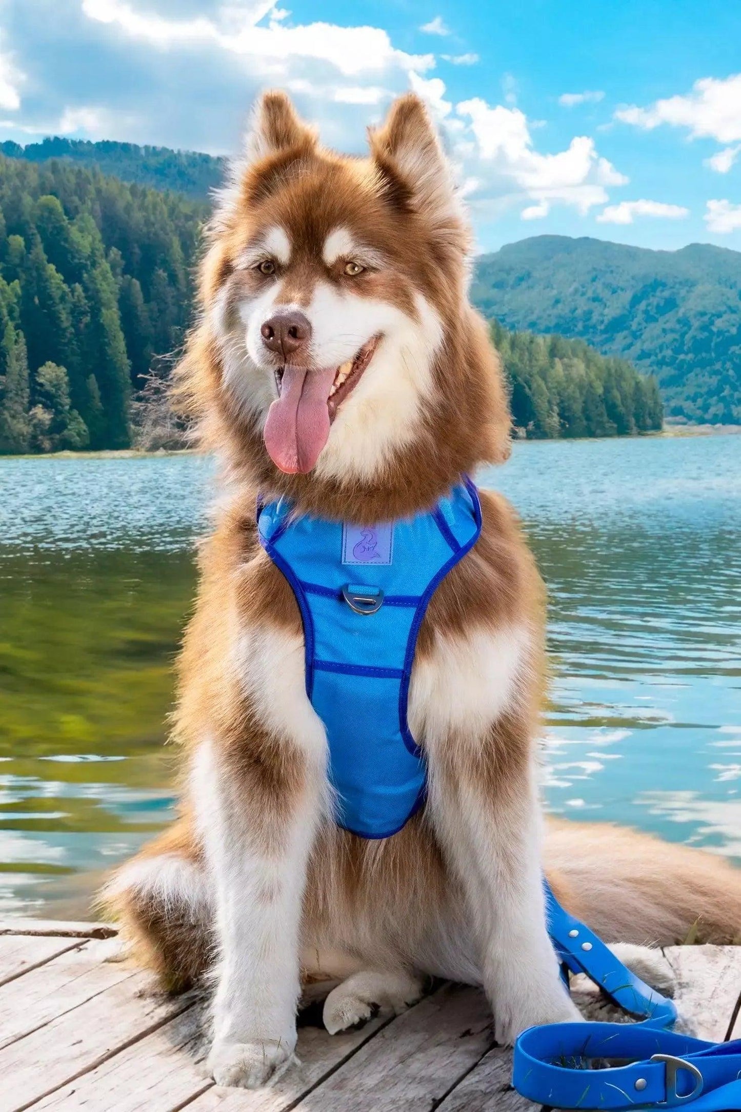 Dockside Adventures Ultimate Harness - Tampa Home & Garden Store
