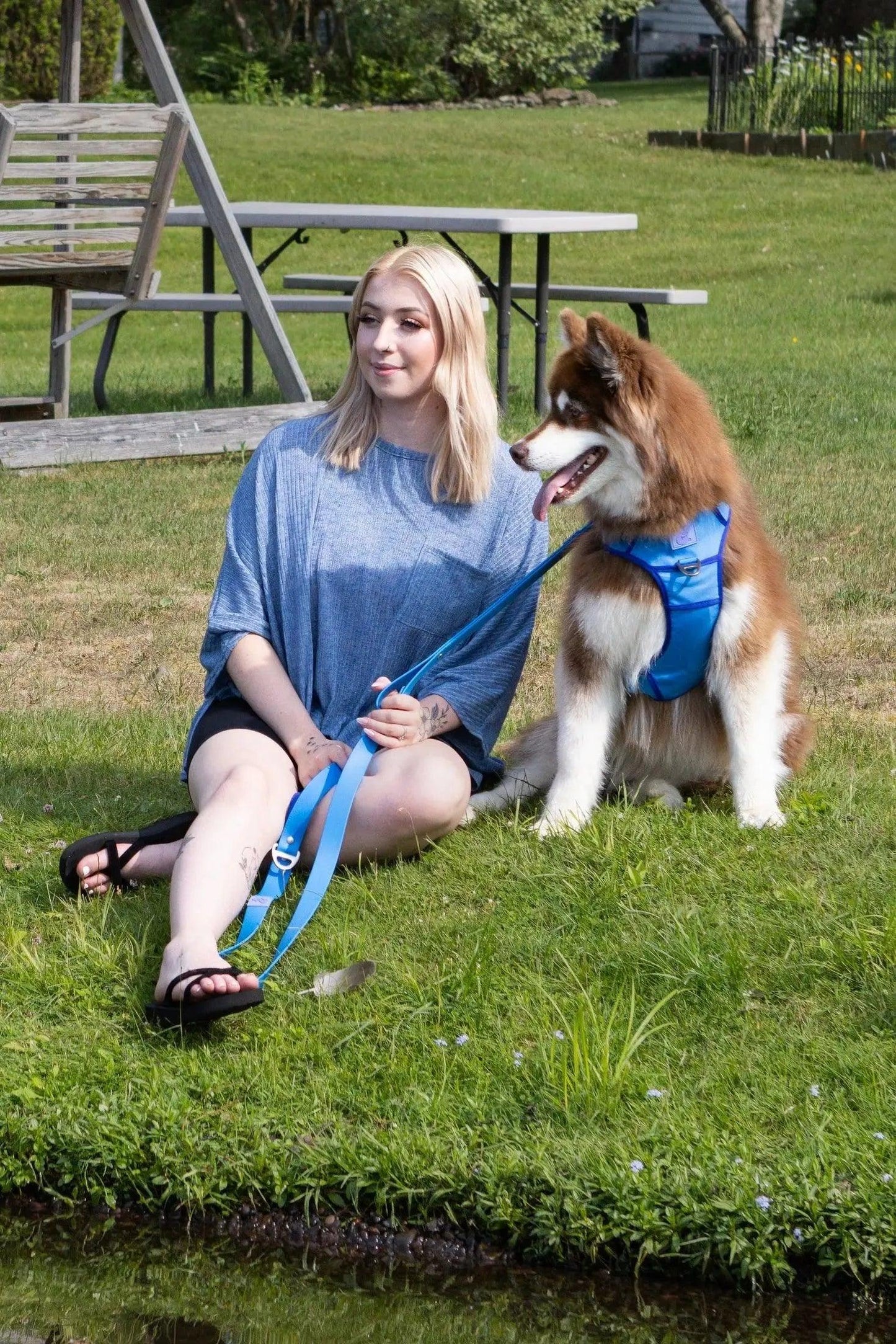 Dockside Adventures Ultimate Harness - Tampa Home & Garden Store