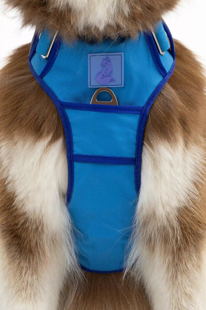 Dockside Adventures Ultimate Harness - Tampa Home & Garden Store