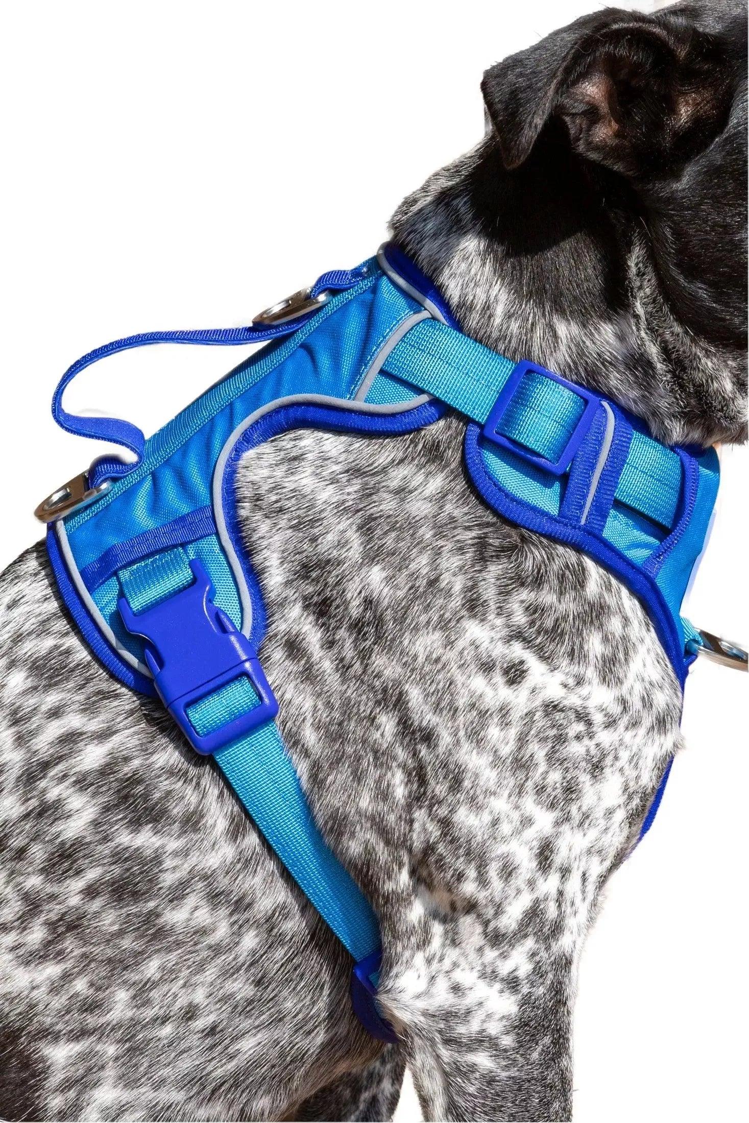 Dockside Adventures Ultimate Harness - Tampa Home & Garden Store