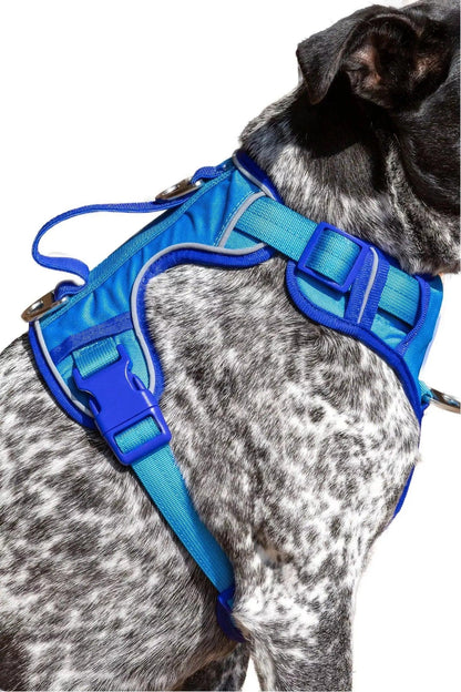 Dockside Adventures Ultimate Harness - Tampa Home & Garden Store