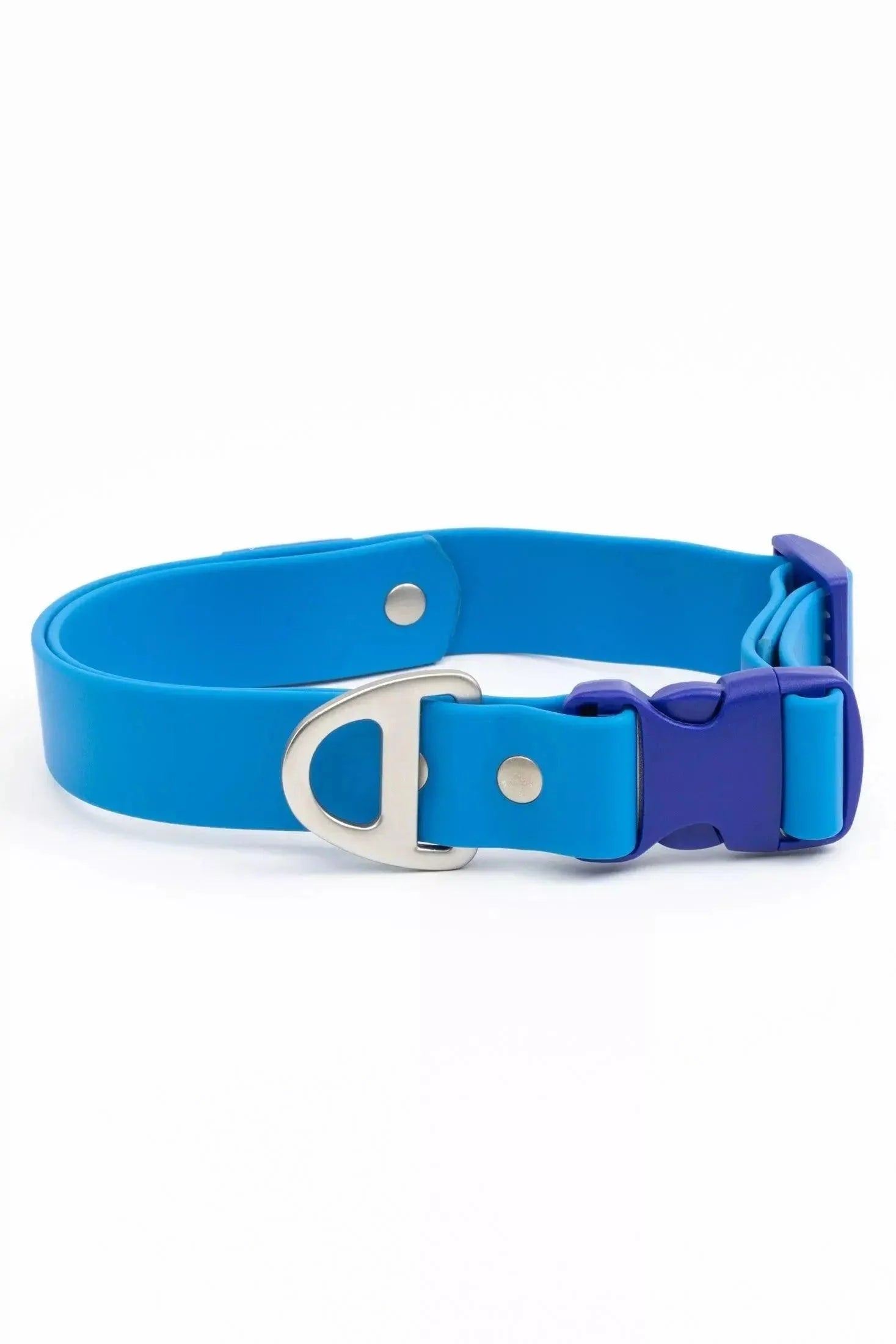 Dockside Adventures Waterproof Dog Collar - Tampa Home & Garden Store