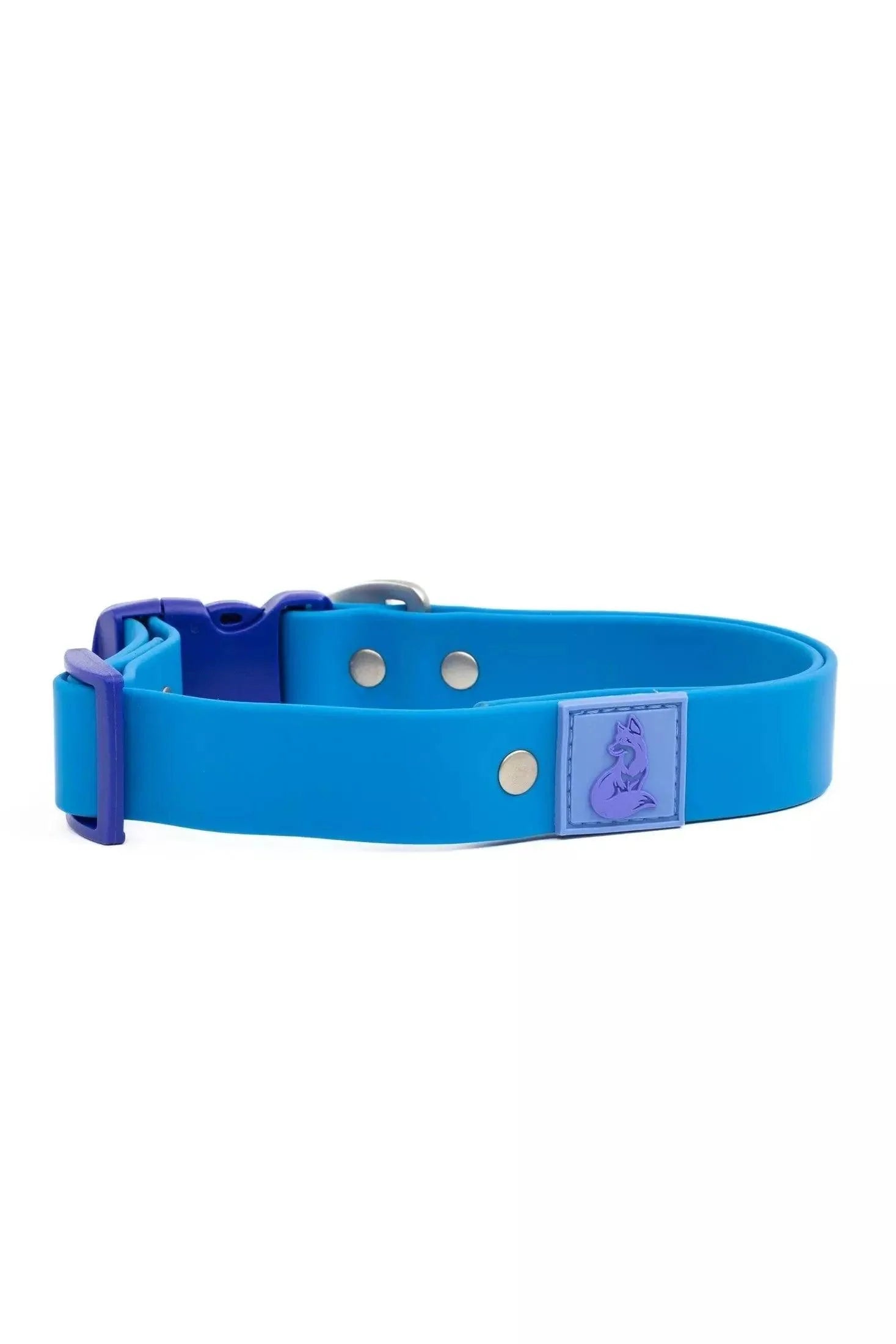 Dockside Adventures Waterproof Dog Collar - Tampa Home & Garden Store