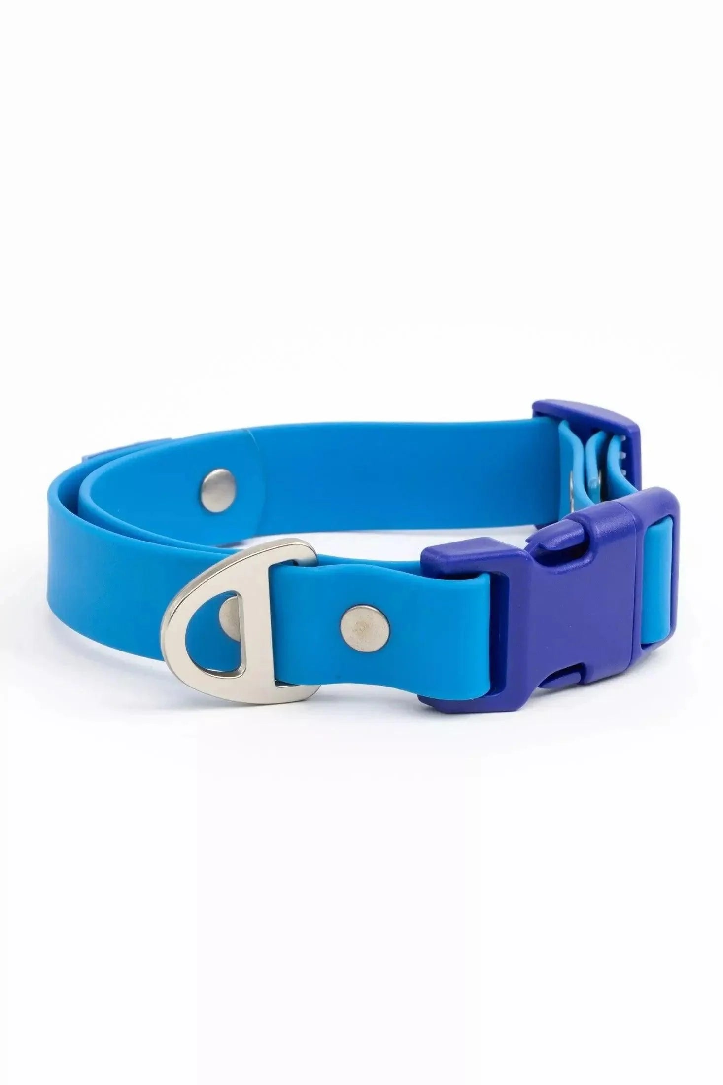 Dockside Adventures Waterproof Dog Collar - Tampa Home & Garden Store