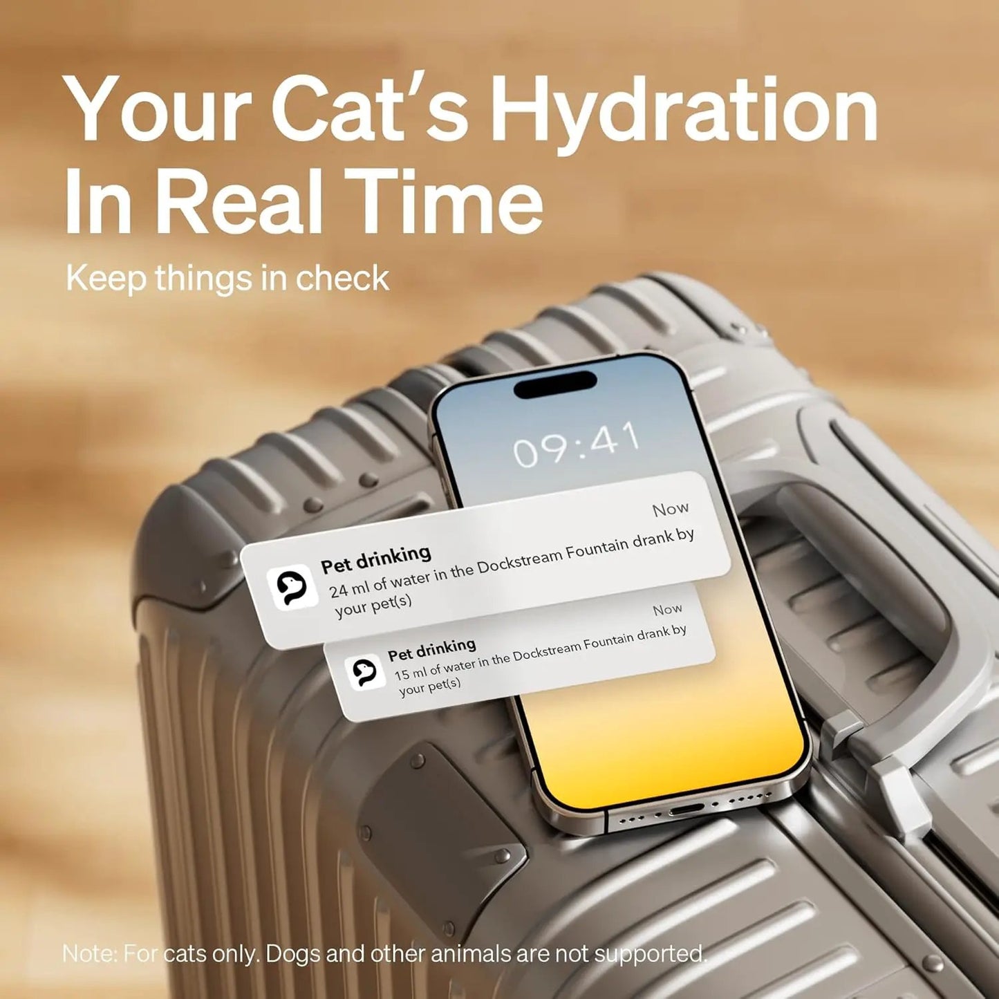 Dockstream Wireless Cat Fountain, app-enabled stainless steel hydration system on Tampa Home & Garden Store