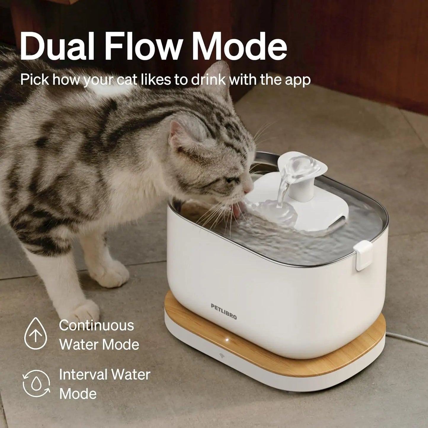 Dockstream smart cat fountain white with wood base; cat drinking; PETLIBRO; Dual Flow label on Tampa Home & Garden Store