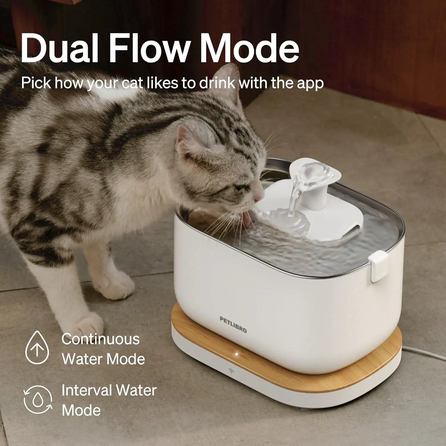 Dockstream smart cat fountain white with wood base; cat drinking; PETLIBRO; Dual Flow label on Tampa Home & Garden Store