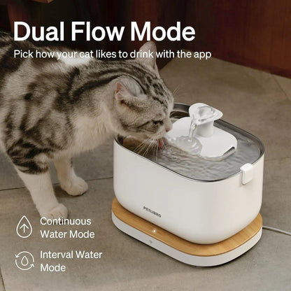 Dockstream smart cat fountain white with wood base; cat drinking; PETLIBRO; Dual Flow label on Tampa Home & Garden Store