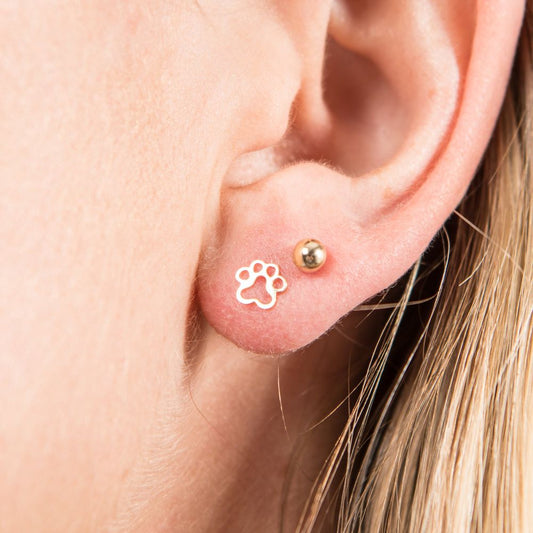Dog Paw Studs - Tampa Home & Garden Store