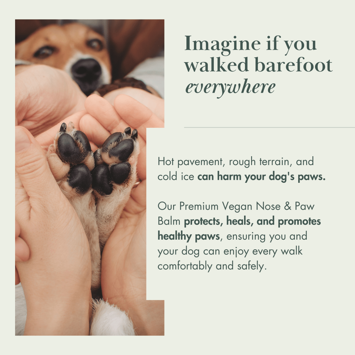Dog Vegan Nose and Paw Balm - Tampa Home & Garden Store