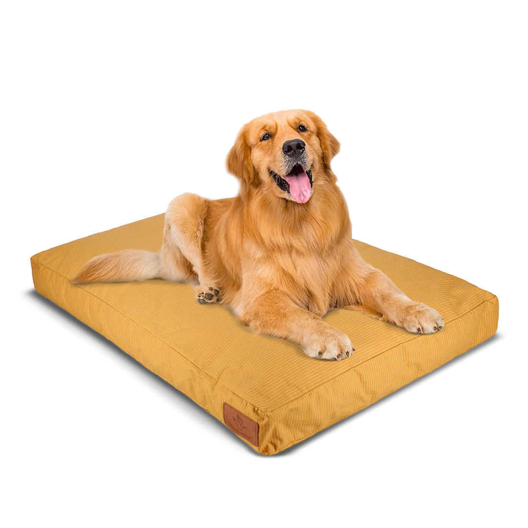 Dog Beds & Dog Bed Covers