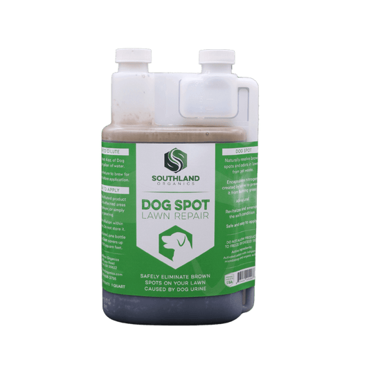 Dog Spot Grass Repair | Dog Spot Solution for Lawn