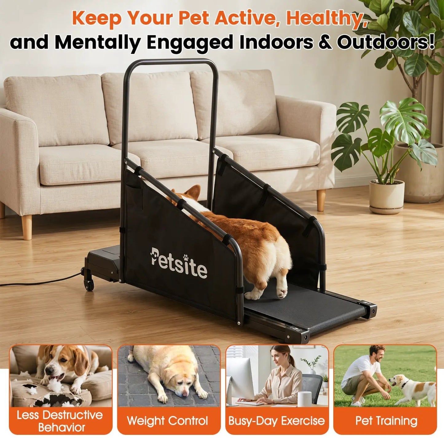 Dog Treadmill With Remote Control and LCD Display