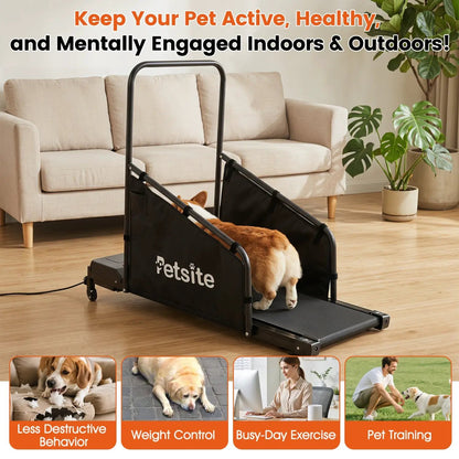 Dog Treadmill With Remote Control and LCD Display