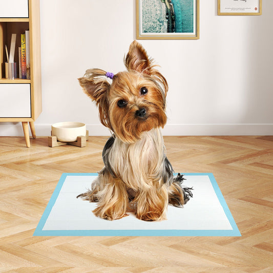 Dog and Puppy Pee Pads 18" x 13" (300 Counts) for Potty Training-Blue - Tampa Home & Garden Store