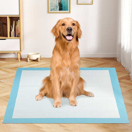 Dog and Puppy Pee Pads 36" x 36" (100 Counts) for Potty Training-Blue - Tampa Home & Garden Store