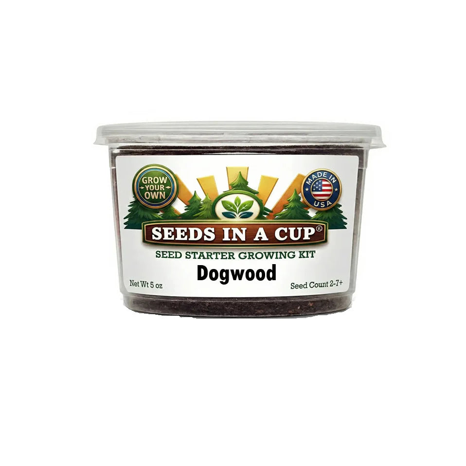 Dogwood Tree Grow Kit - Tampa Home & Garden Store