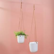 Doni Plant Hanger - Tampa Home & Garden Store