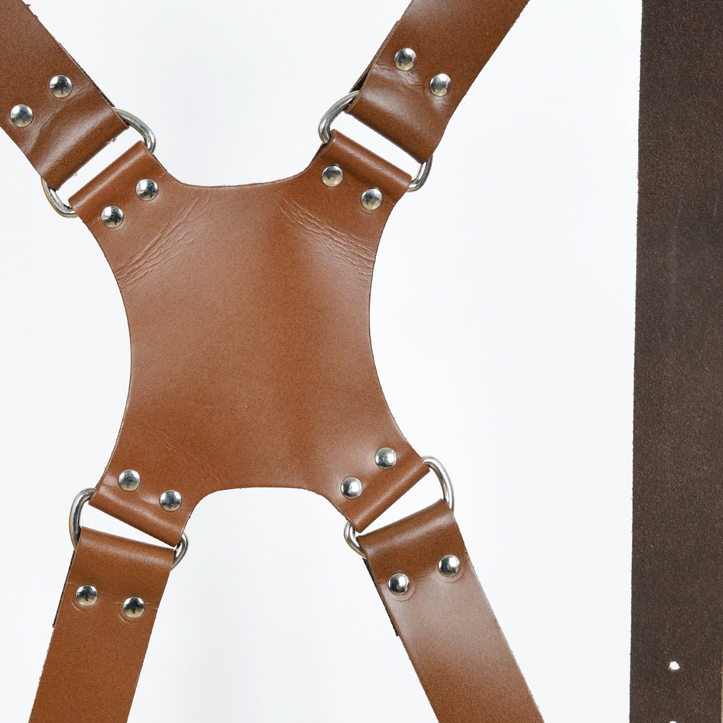 Double Camera Strap Harness- Brown - Tampa Home & Garden Store