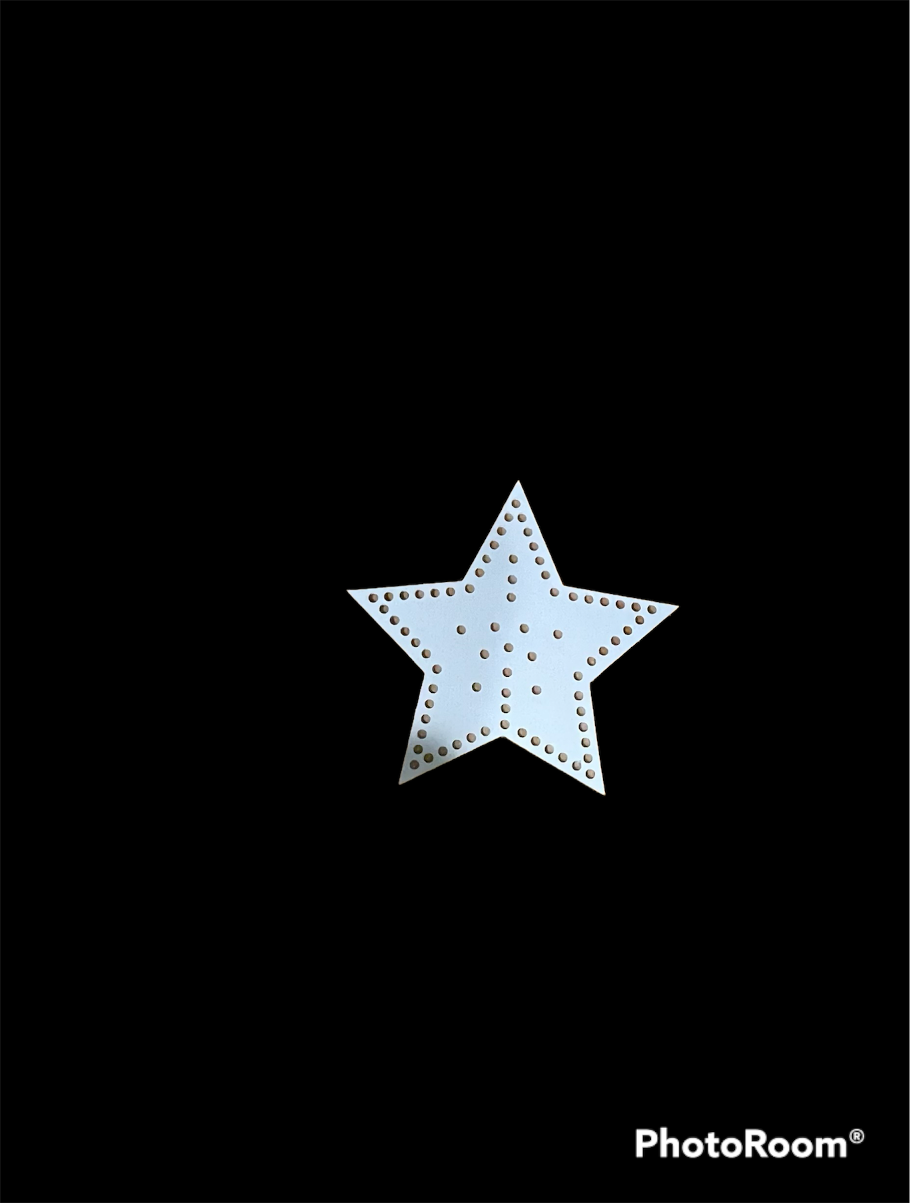 Double Star 16" - Tampa Home & Garden Store