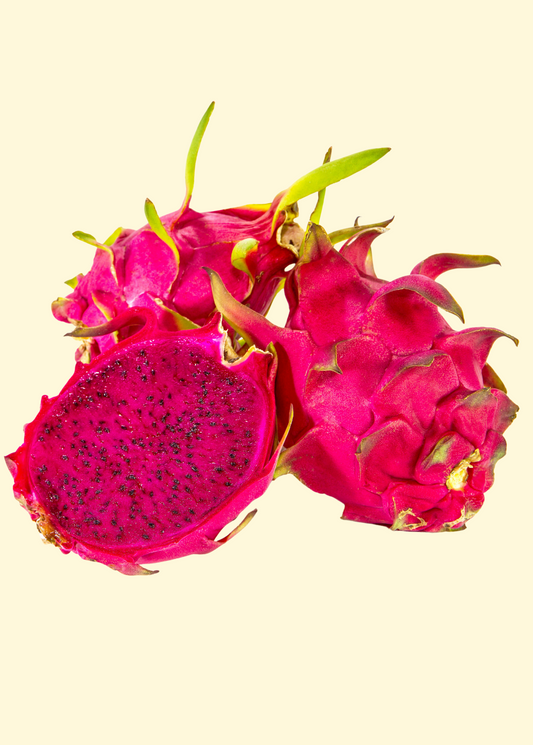 Dragon Fruit 'Edgar's Baby' (Hylocereus stenopterus x Hylocereus Guatemalensis) - Tampa Home & Garden Store