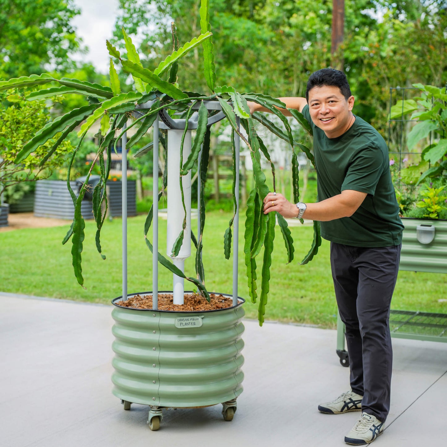 Dragon Fruit Planter Gen 2, green rolling Vego Garden planter with vines on Tampa Home & Garden Store